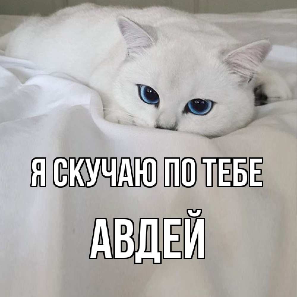 Открытка  с именем. Авдей, Я скучаю по тебе  