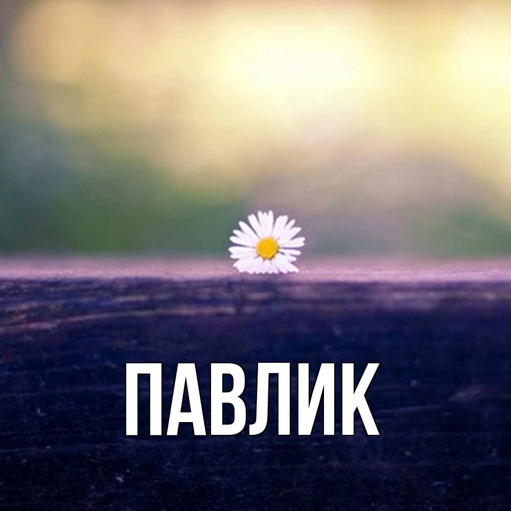 Открытка  с именем. Павлик, Главная  