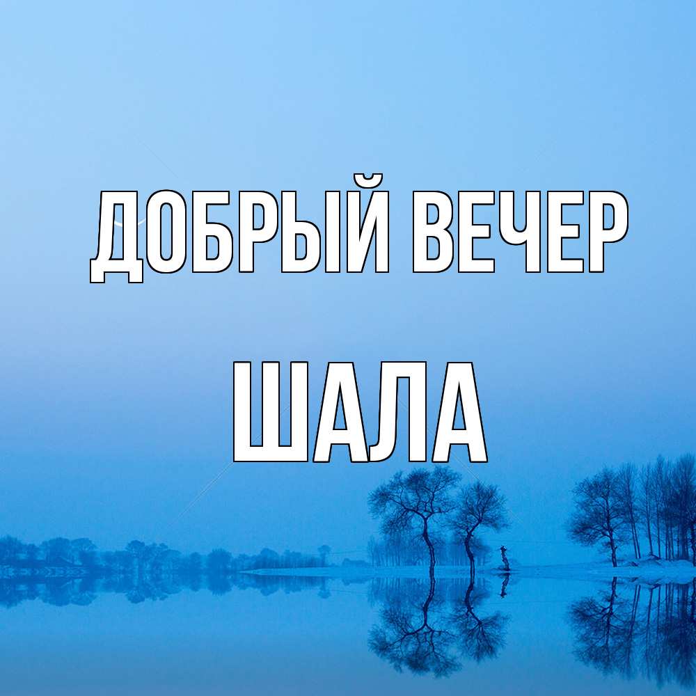 Открытка  с именем. Шала, Добрый вечер  
