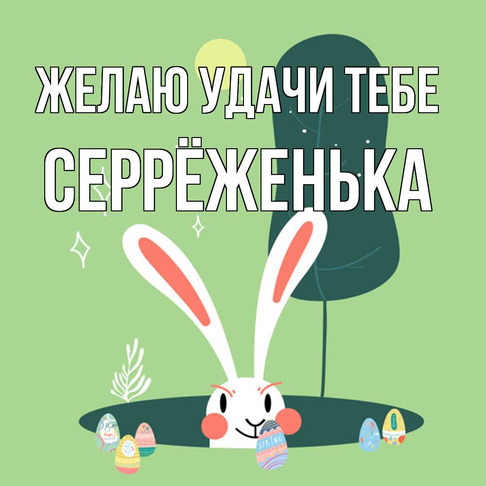 Открытка  с именем. Серрёженька, Желаю удачи тебе  