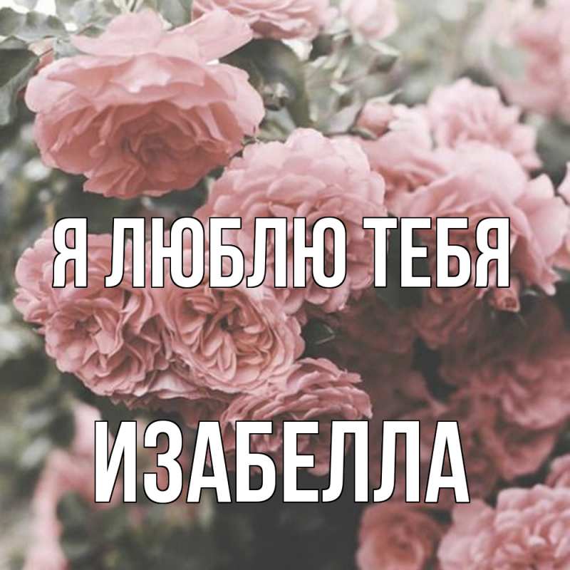 Картинка Я люблю тебя, Изабелла