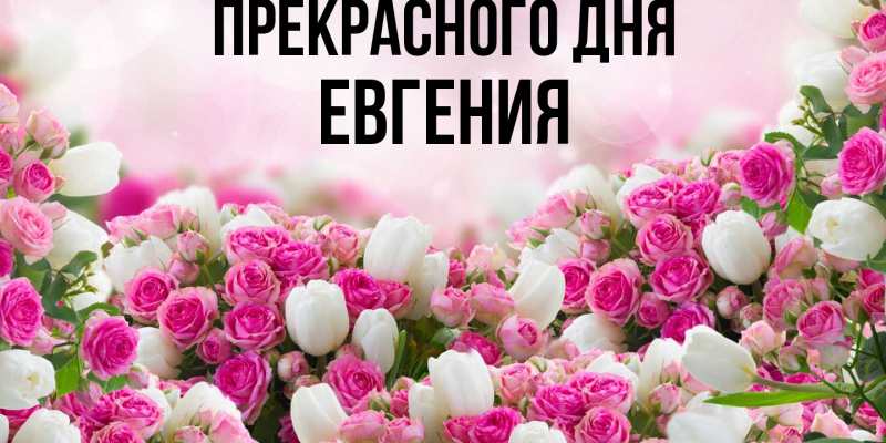 Картинка Прекрасного дня, Евгения