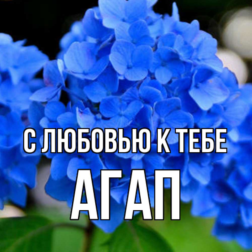 Открытка  с именем. Агап, С любовью к тебе  