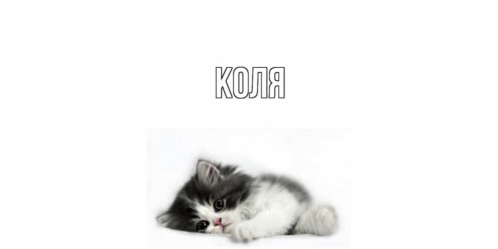 Открытка  с именем. коля, Главная  