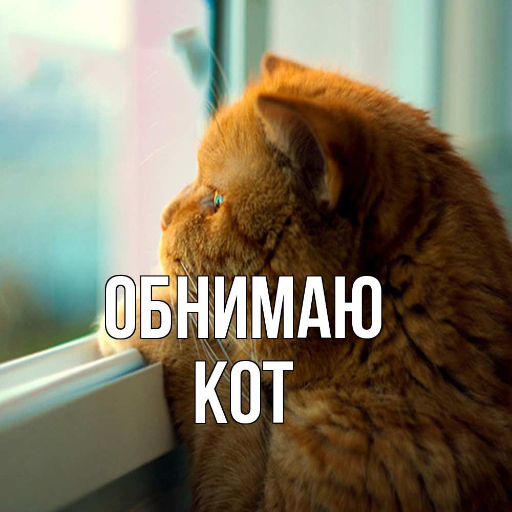 Открытка  с именем. КОТ, Обнимаю  