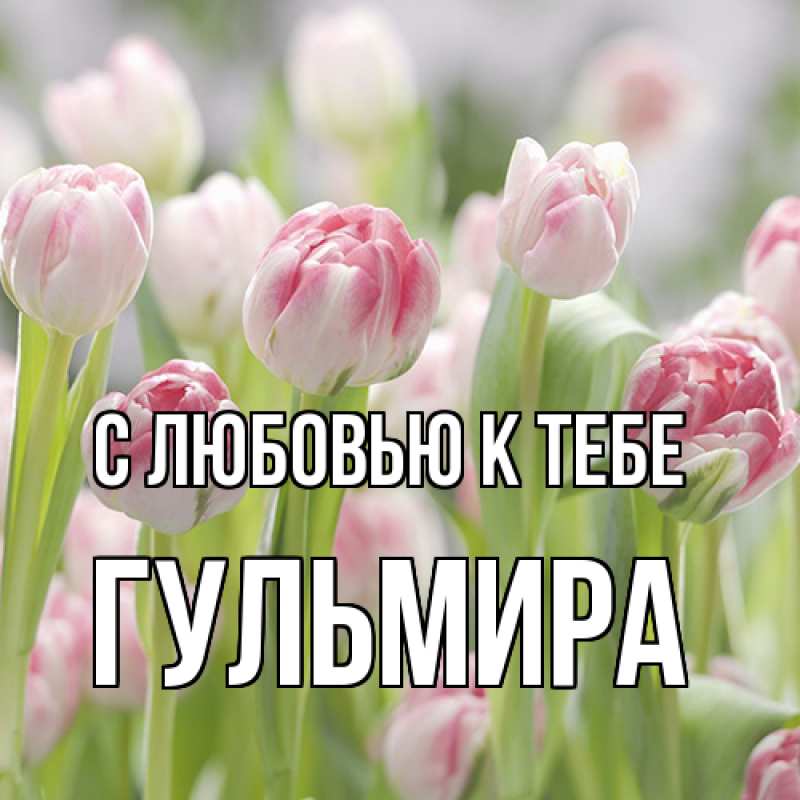 Картинка С любовью к тебе, Гульмира