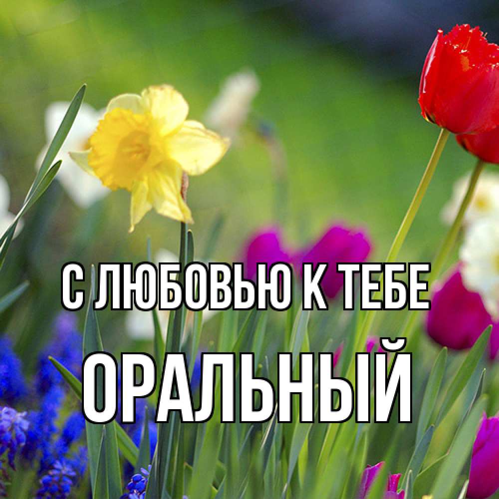 Открытка  с именем. ОРАЛЬНЫЙ, С любовью к тебе  