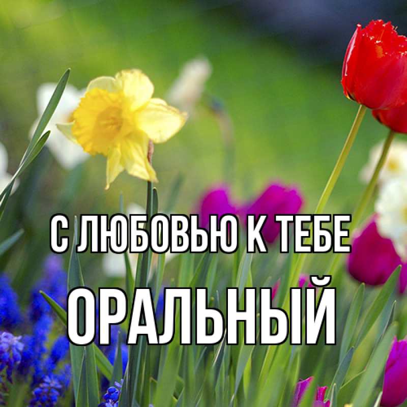 Картинка С любовью к тебе, ОРАЛЬНЫЙ
