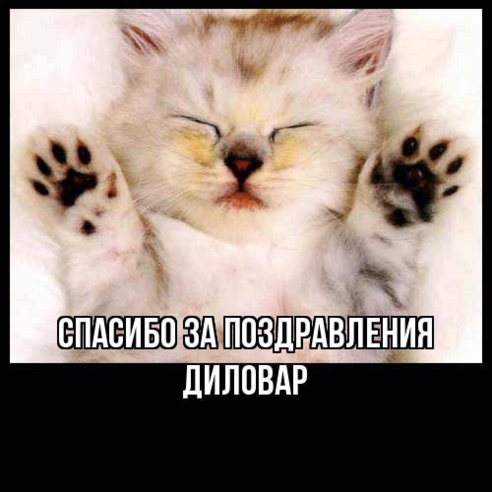 Открытка  с именем. Диловар, Спасибо за поздравления  