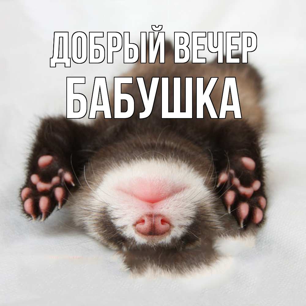 Открытка  с именем. бабушка, Добрый вечер  