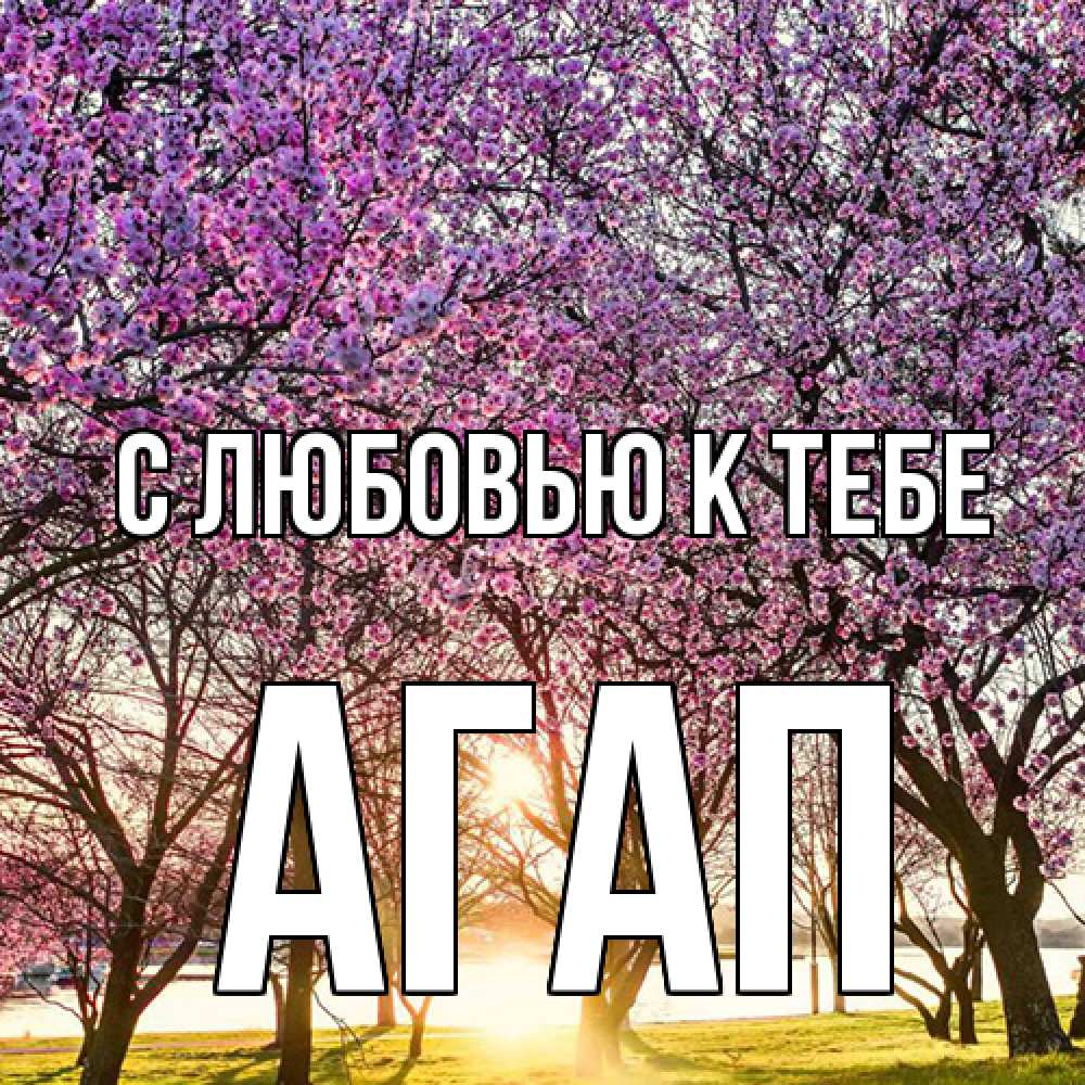 Открытка  с именем. Агап, С любовью к тебе  