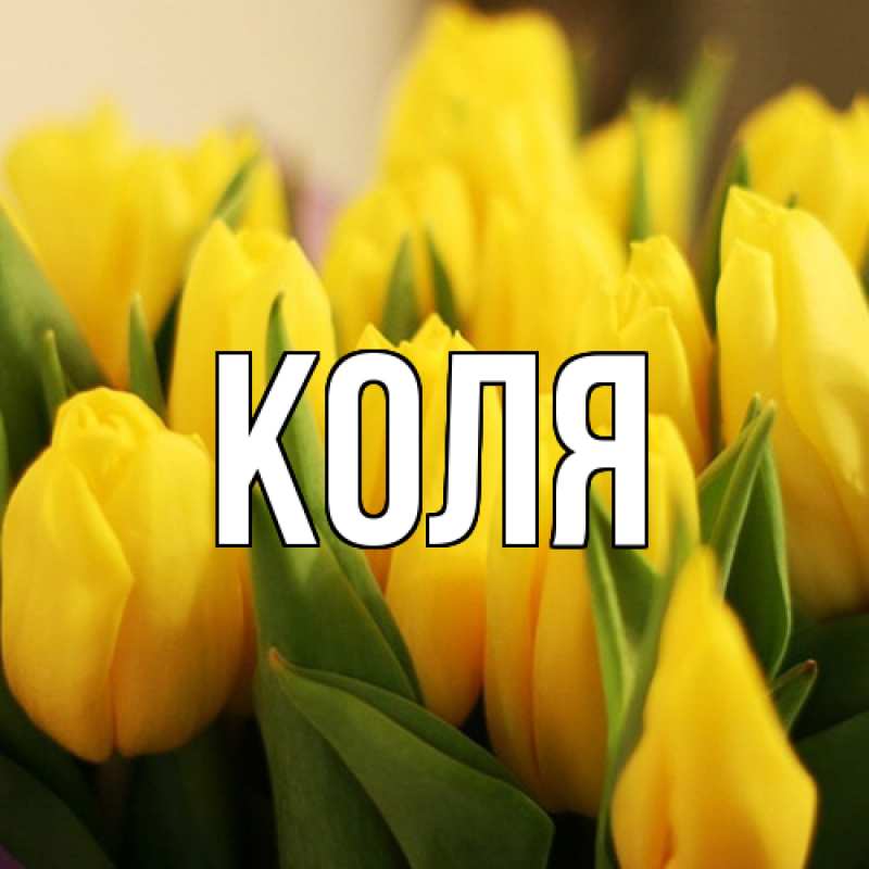 Картинка  с именем , коля