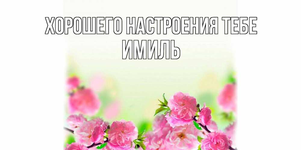 Открытка  с именем. Имиль, Хорошего настроения тебе  