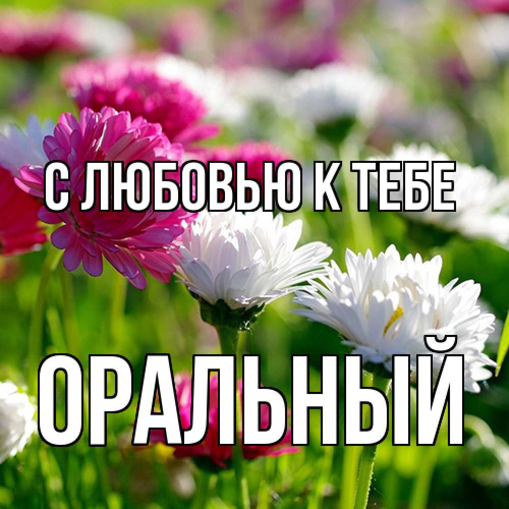 Открытка  с именем. ОРАЛЬНЫЙ, С любовью к тебе  