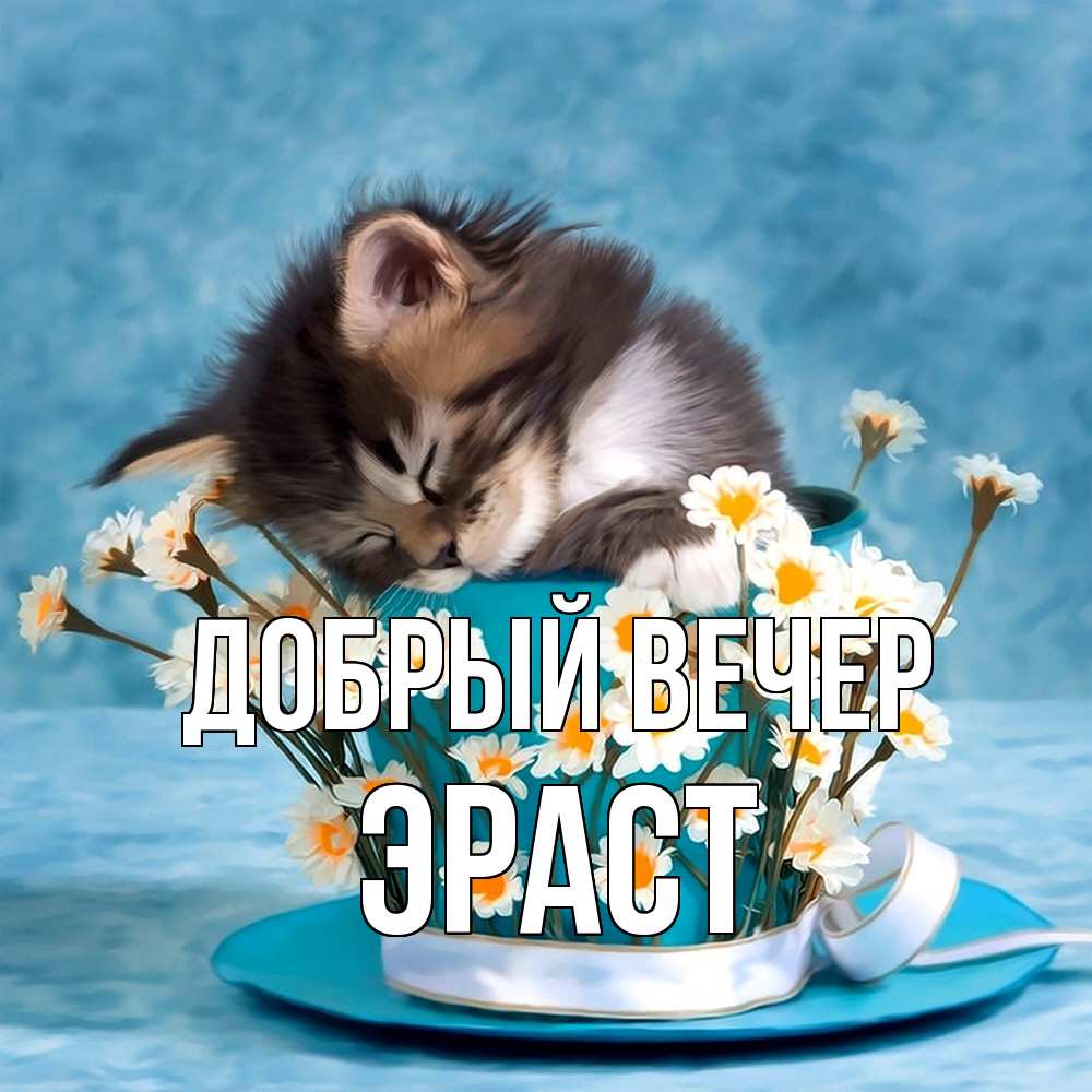 Открытка  с именем. Эраст, Добрый вечер  