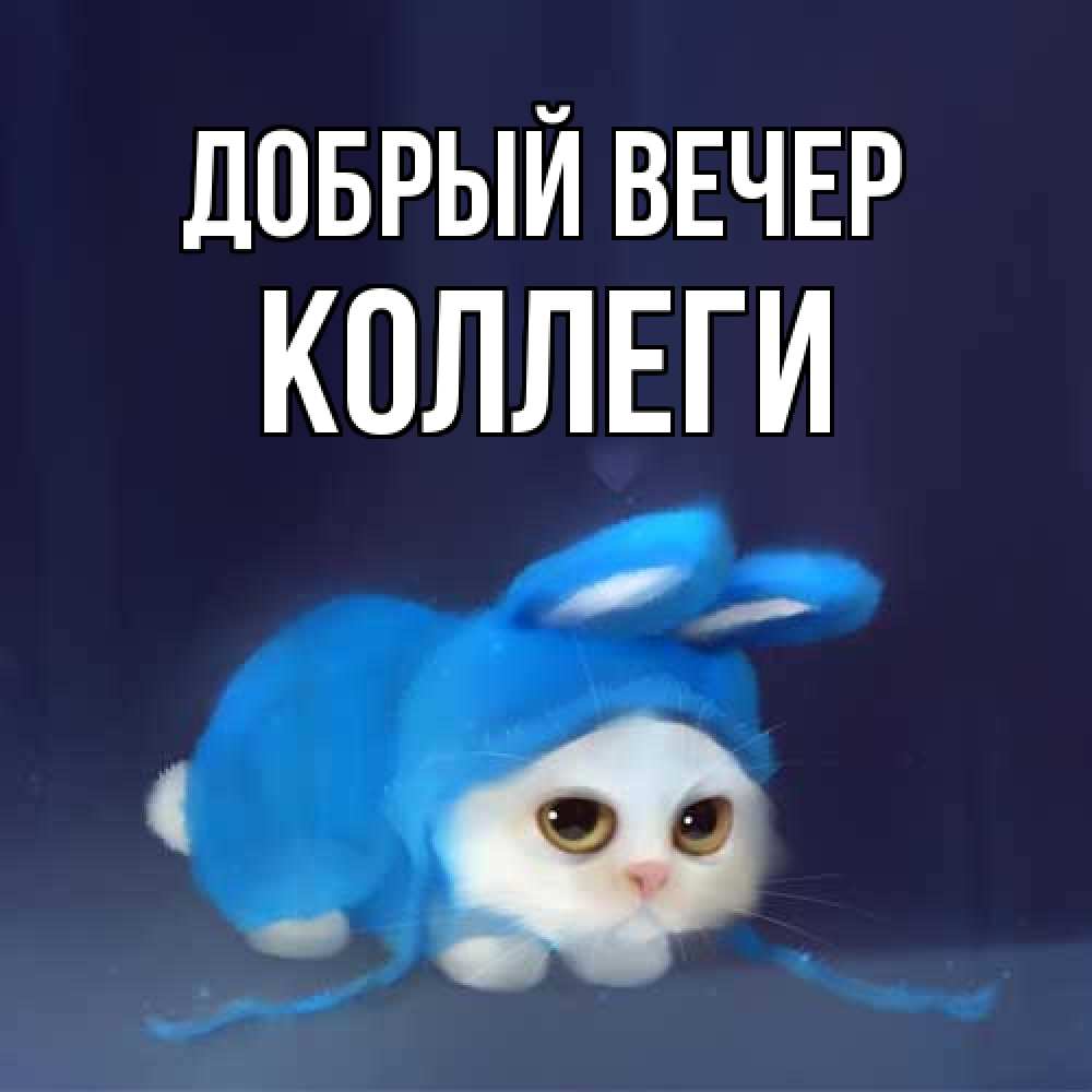 Открытка  с именем. коллеги, Добрый вечер  