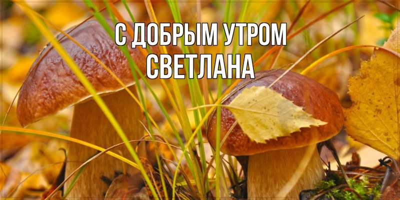 Картинка С добрым утром, Светлана