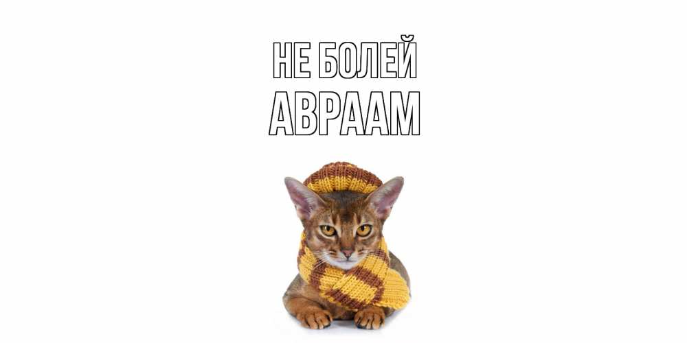Открытка  с именем. Авраам, Не болей  