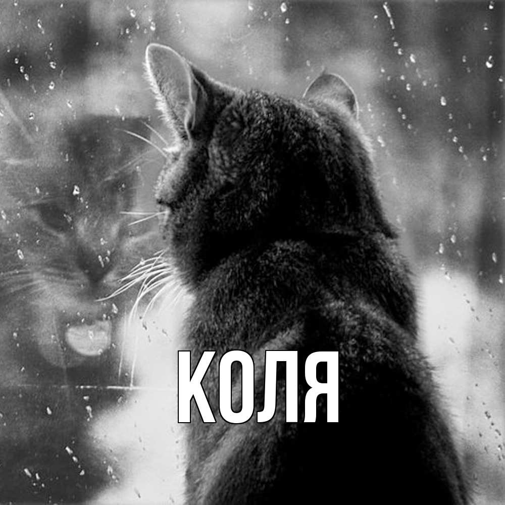 Открытка  с именем. коля, Главная  