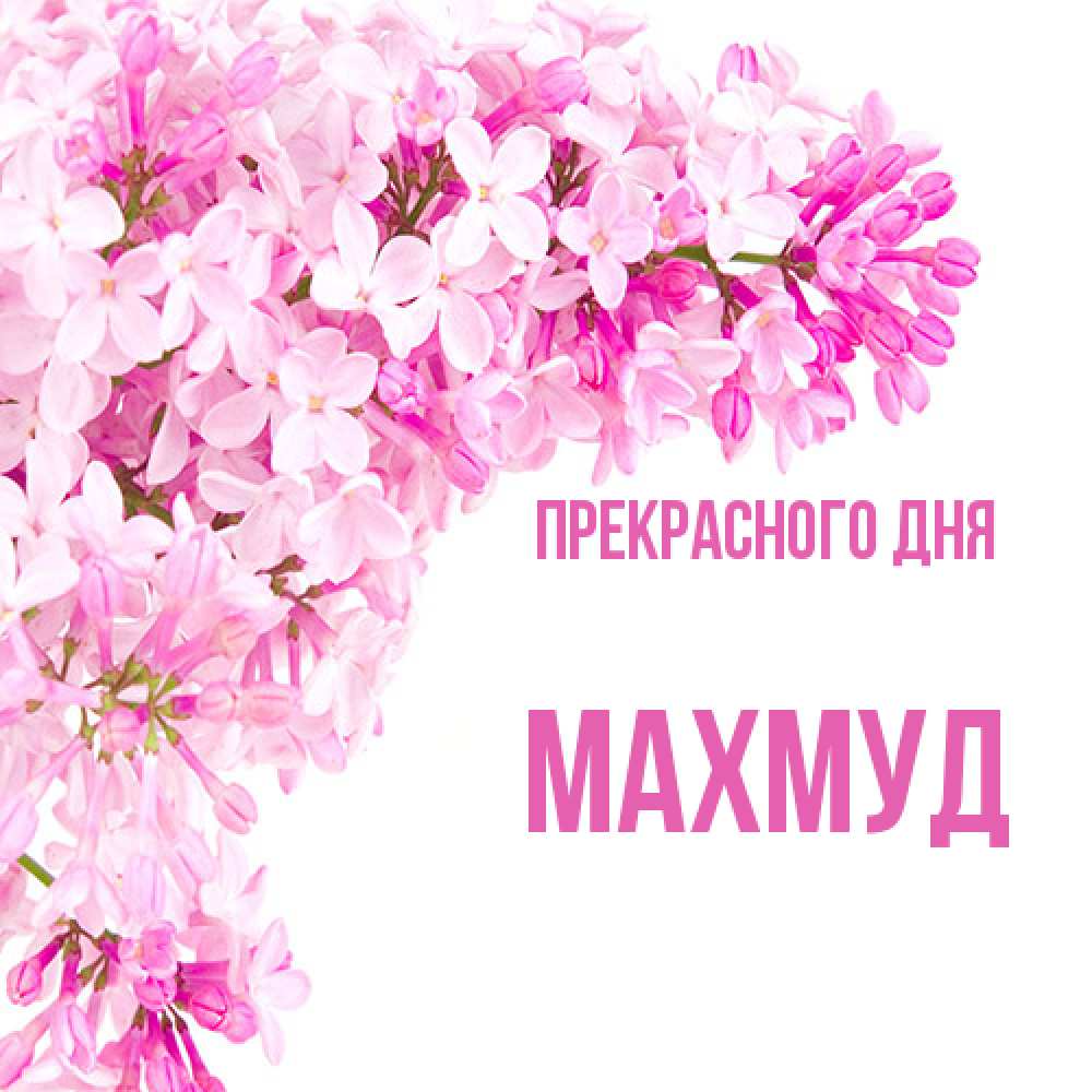 Открытка  с именем. Махмуд, Прекрасного дня  