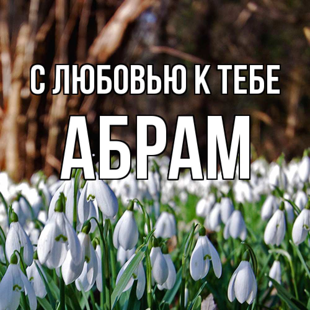 Открытка  с именем. Абрам, С любовью к тебе  