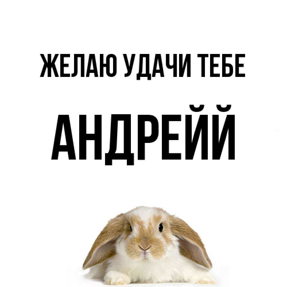 Открытка  с именем. Андрейй, Желаю удачи тебе  