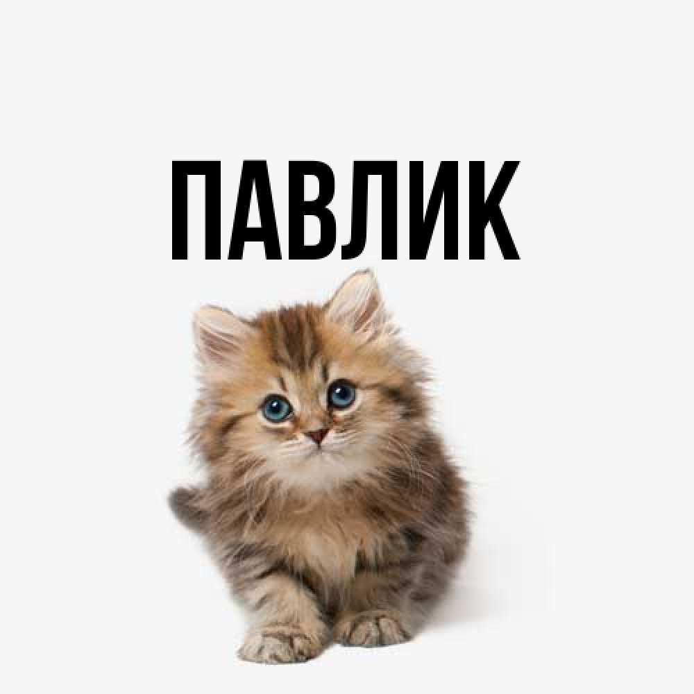 Открытка  с именем. Павлик, Главная  