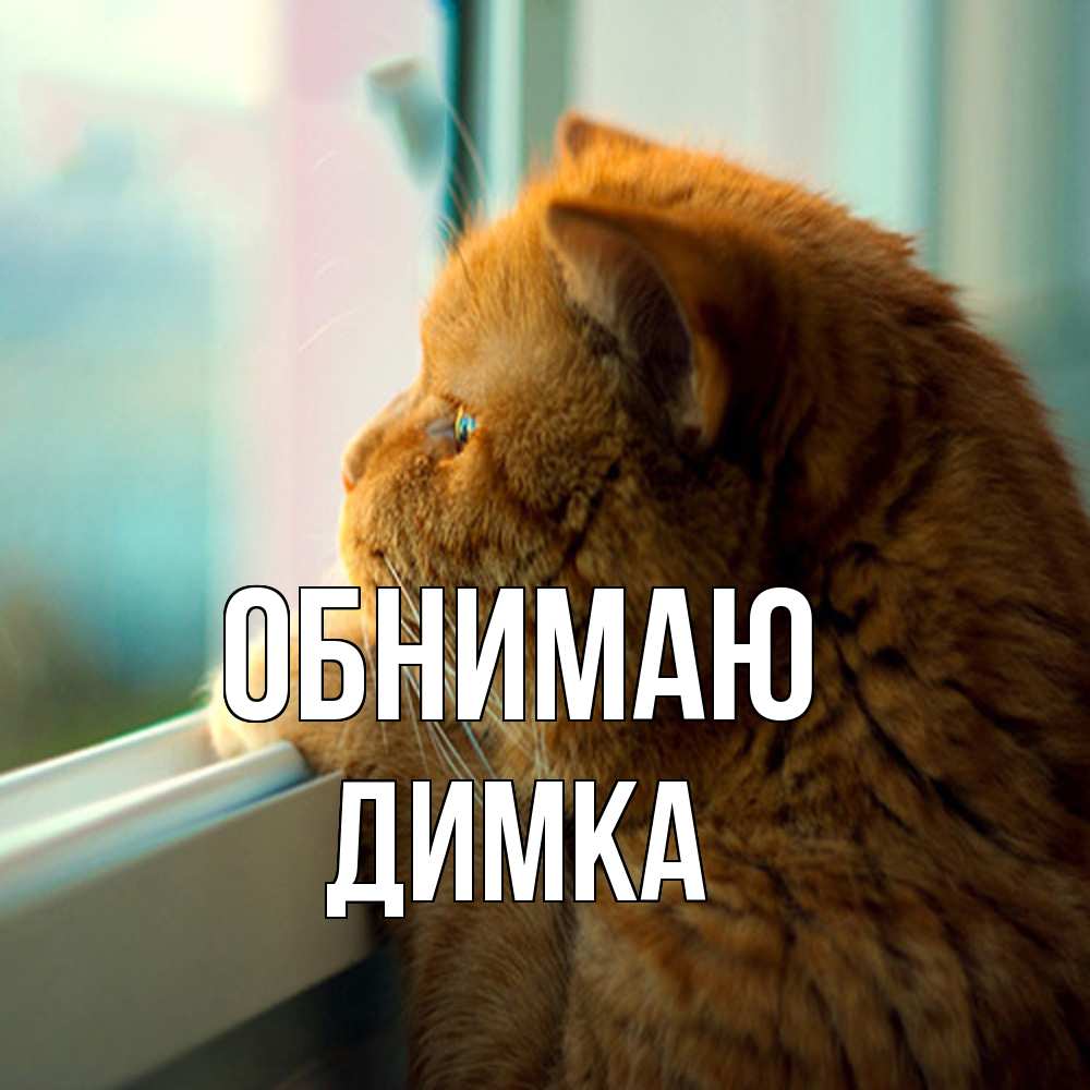 Открытка  с именем. ДИМКА, Обнимаю  