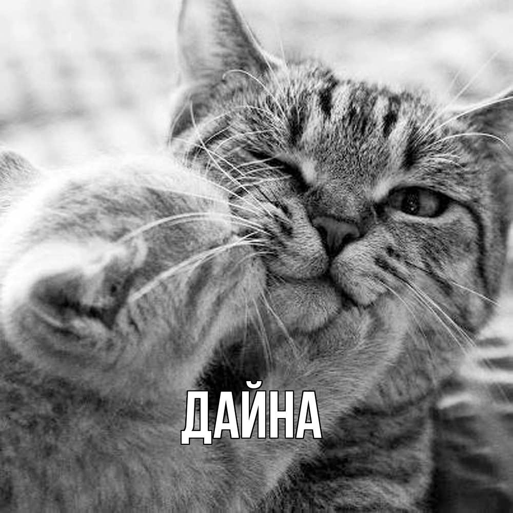 Открытка  с именем. Дайна, Главная  