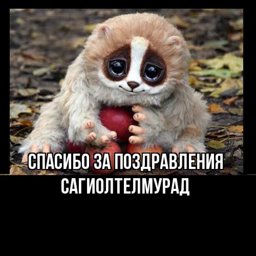 Открытка  с именем. САГИОЛТЕЛМУРАД, Спасибо за поздравления  