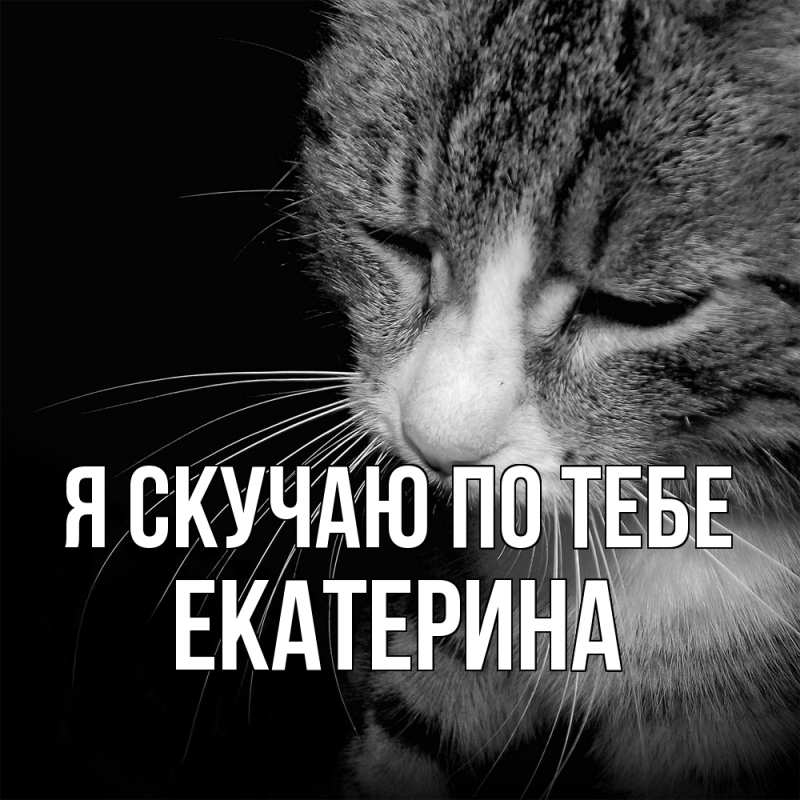 Картинка Я скучаю по тебе, Екатерина