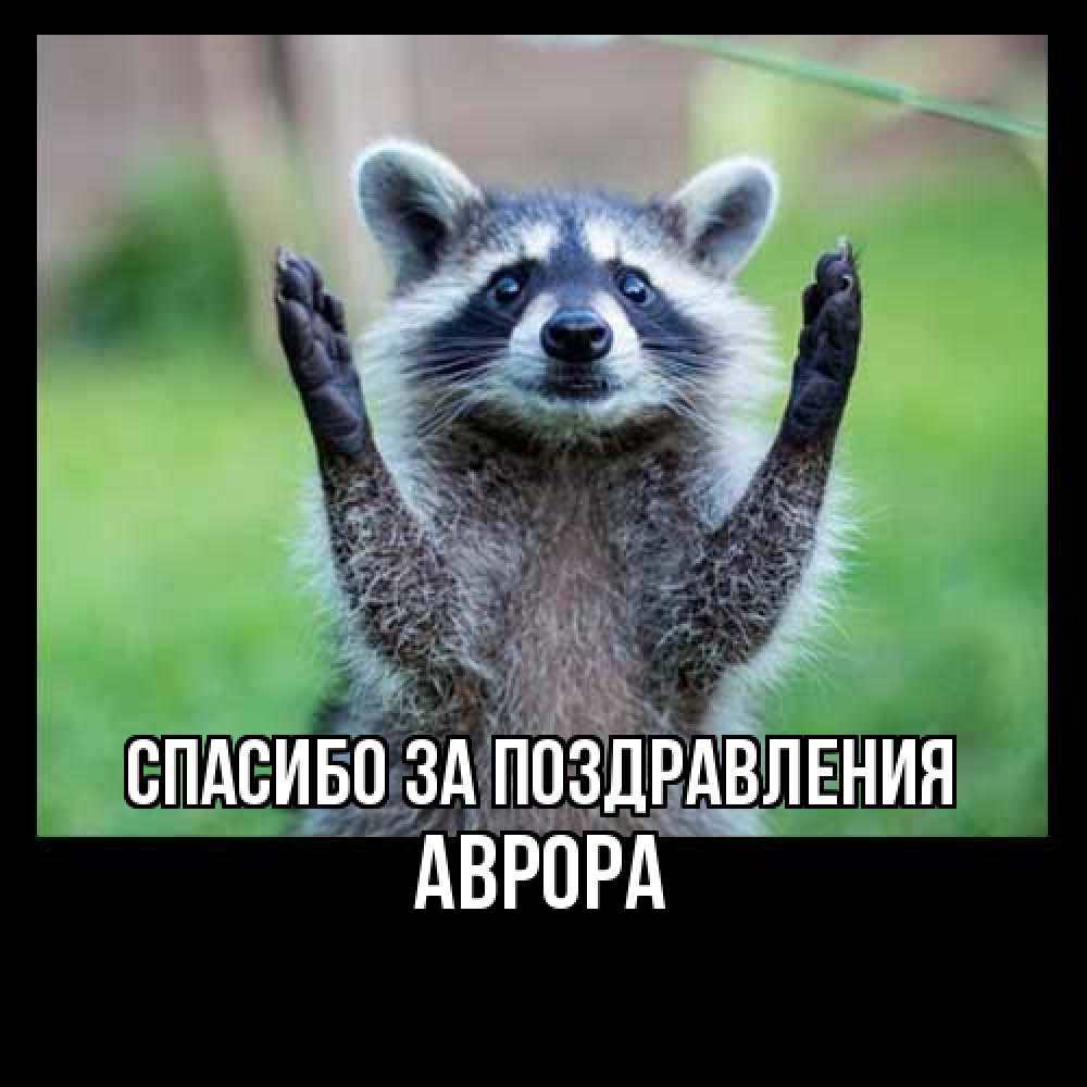 Открытка  с именем. Аврора, Спасибо за поздравления  