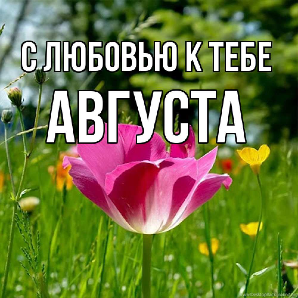 Открытка  с именем. Августа, С любовью к тебе  