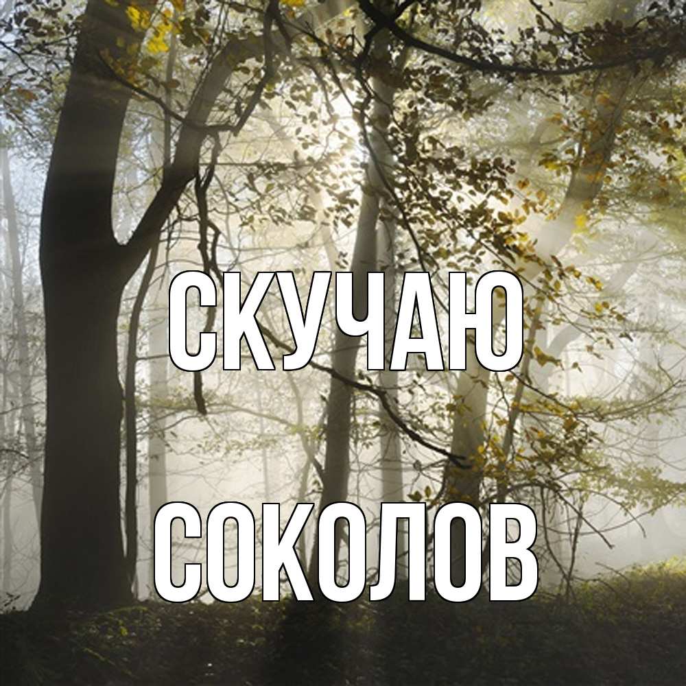 Открытка  с именем. Соколов, Скучаю  