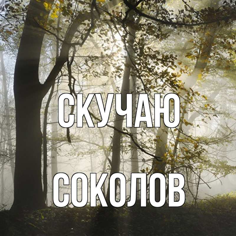 Картинка Скучаю, Соколов
