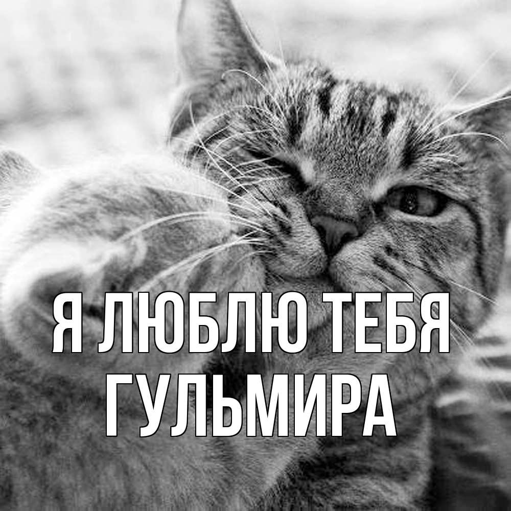 Открытка  с именем. Гульмира, Я люблю тебя  