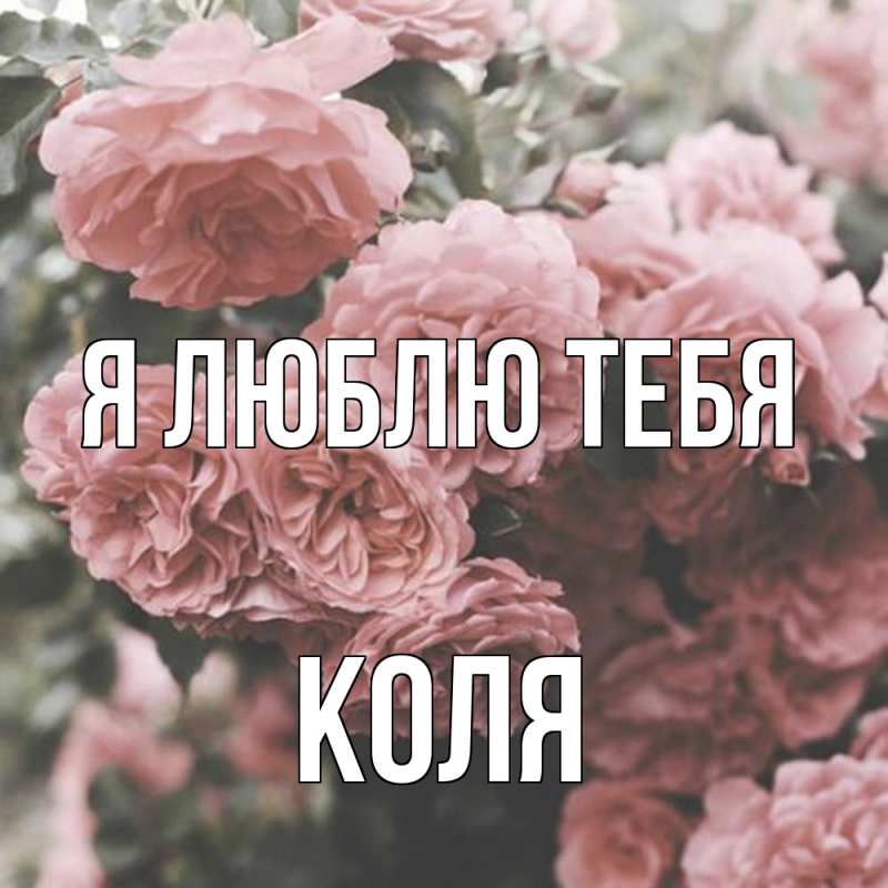 Картинка Я люблю тебя, коля