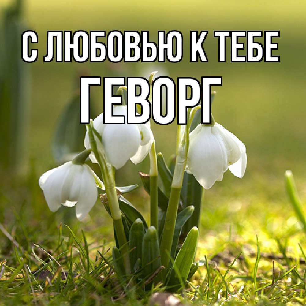 Открытка  с именем. Геворг, С любовью к тебе  
