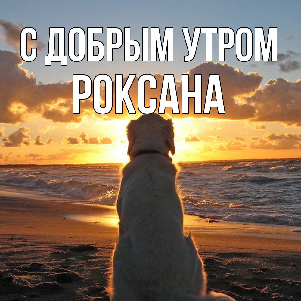 Открытка  с именем. Роксана, С добрым утром  