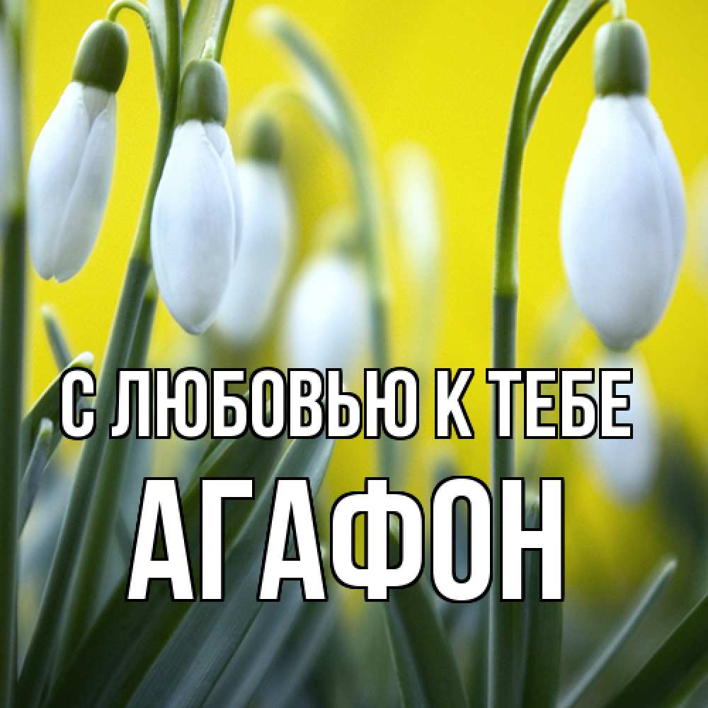 Открытка  с именем. Агафон, С любовью к тебе  