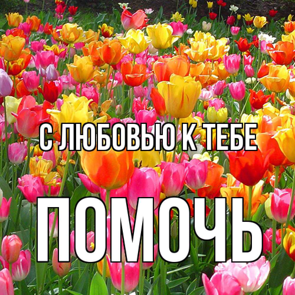 Открытка  с именем. Помочь, С любовью к тебе  