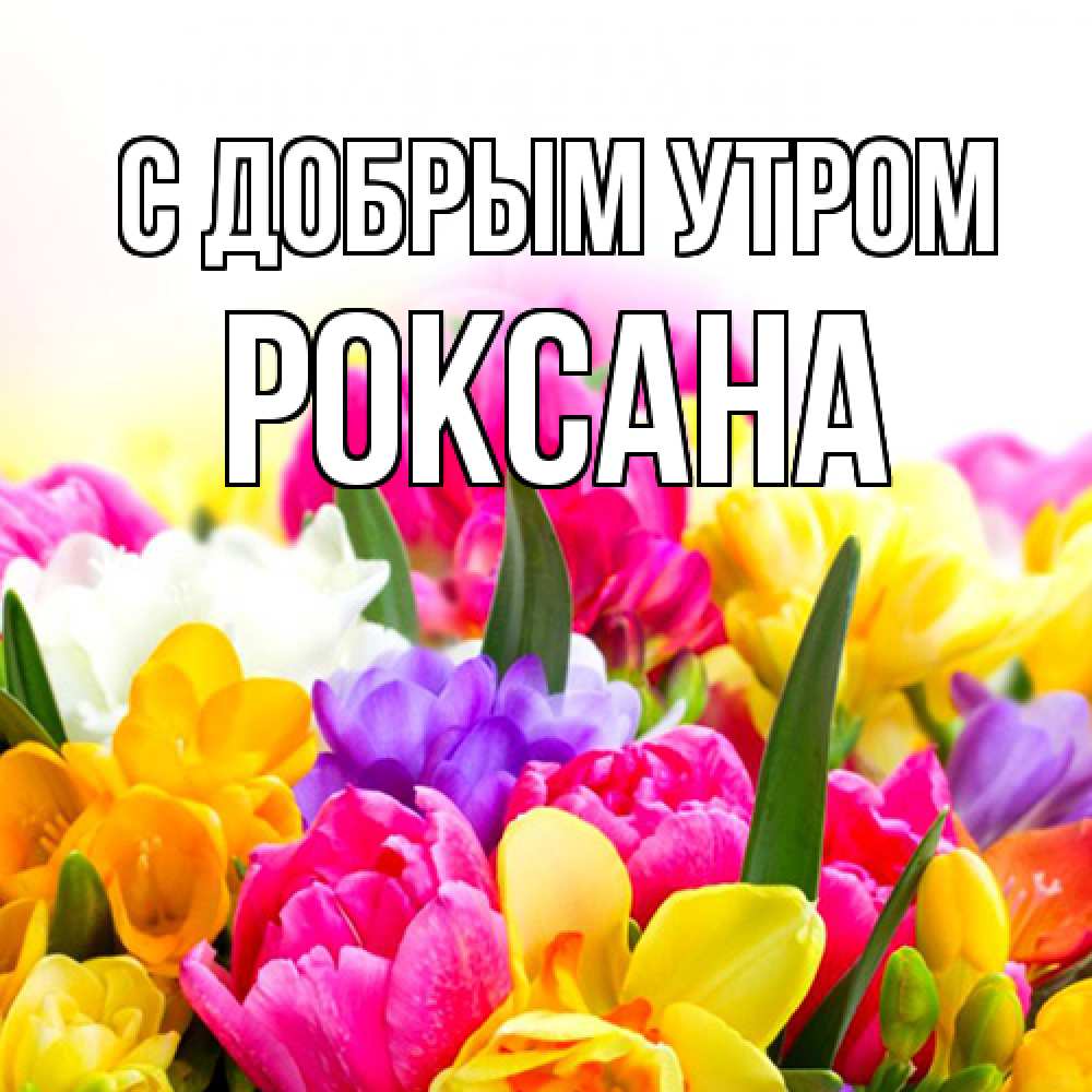 Открытка  с именем. Роксана, С добрым утром  