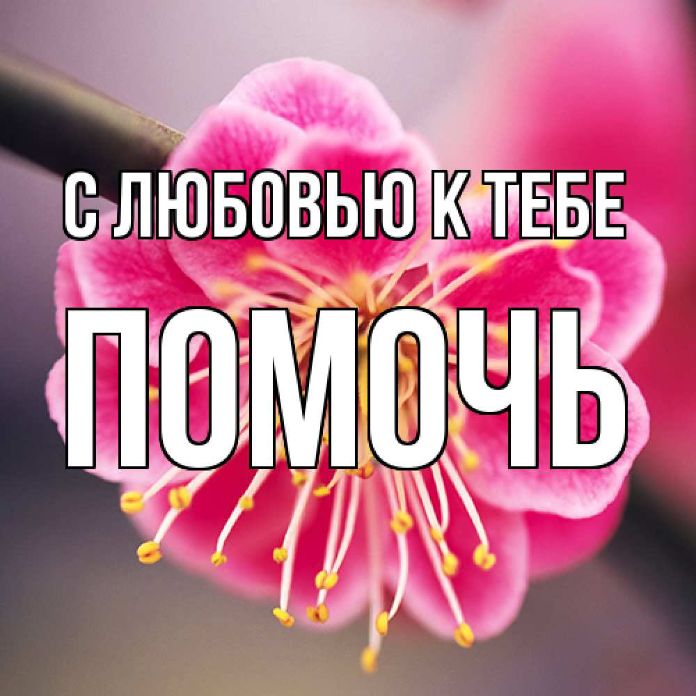 Открытка  с именем. Помочь, С любовью к тебе  