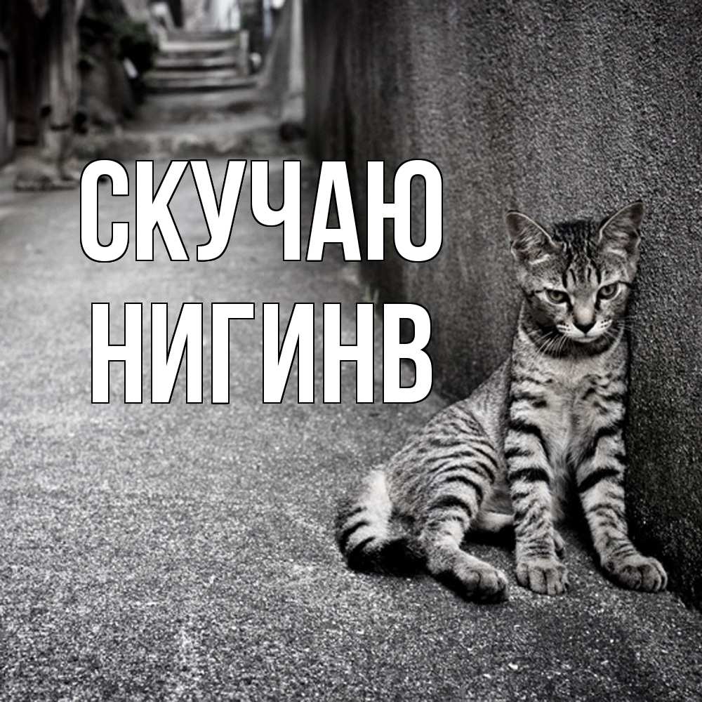 Открытка  с именем. Нигинв, Скучаю  