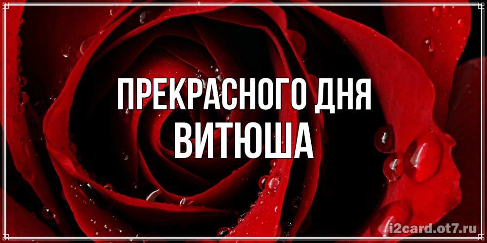 Открытка  с именем. Витюша, Прекрасного дня  