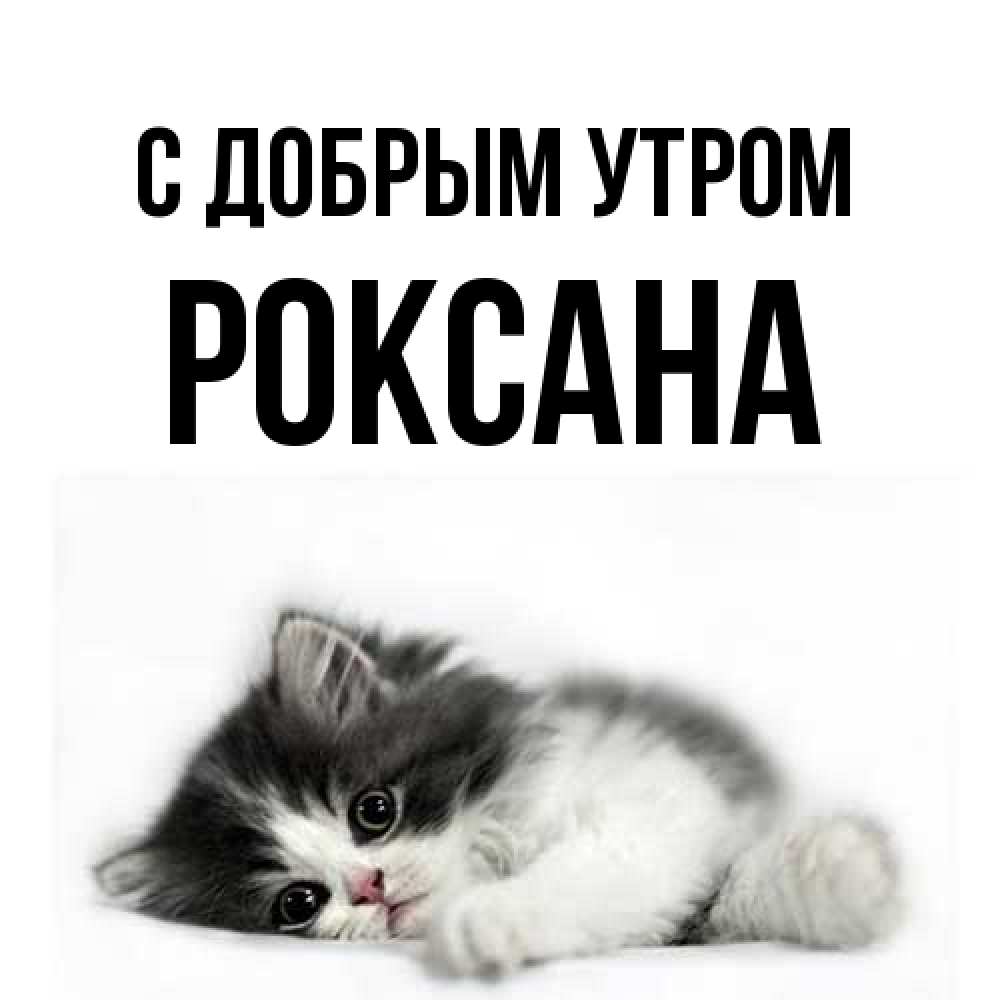 Открытка  с именем. Роксана, С добрым утром  