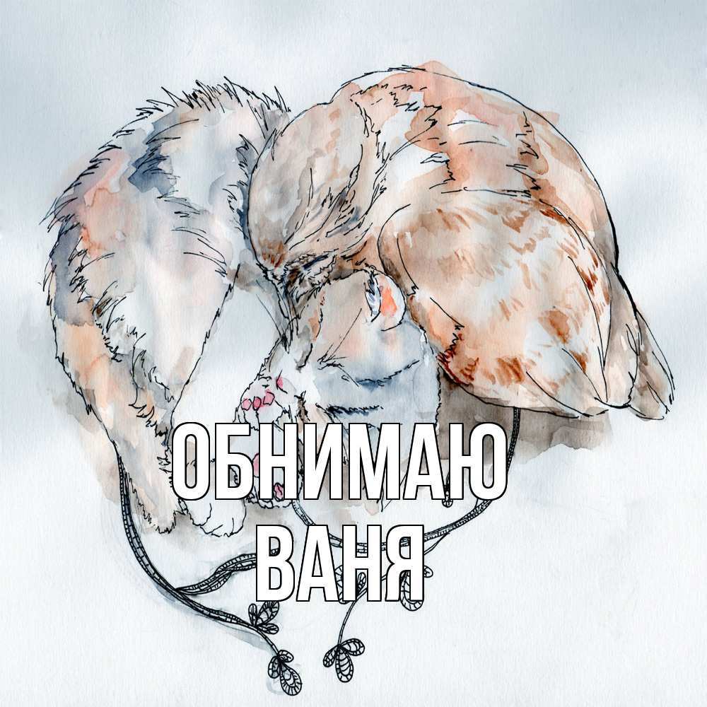 Открытка  с именем. ваня, Обнимаю  