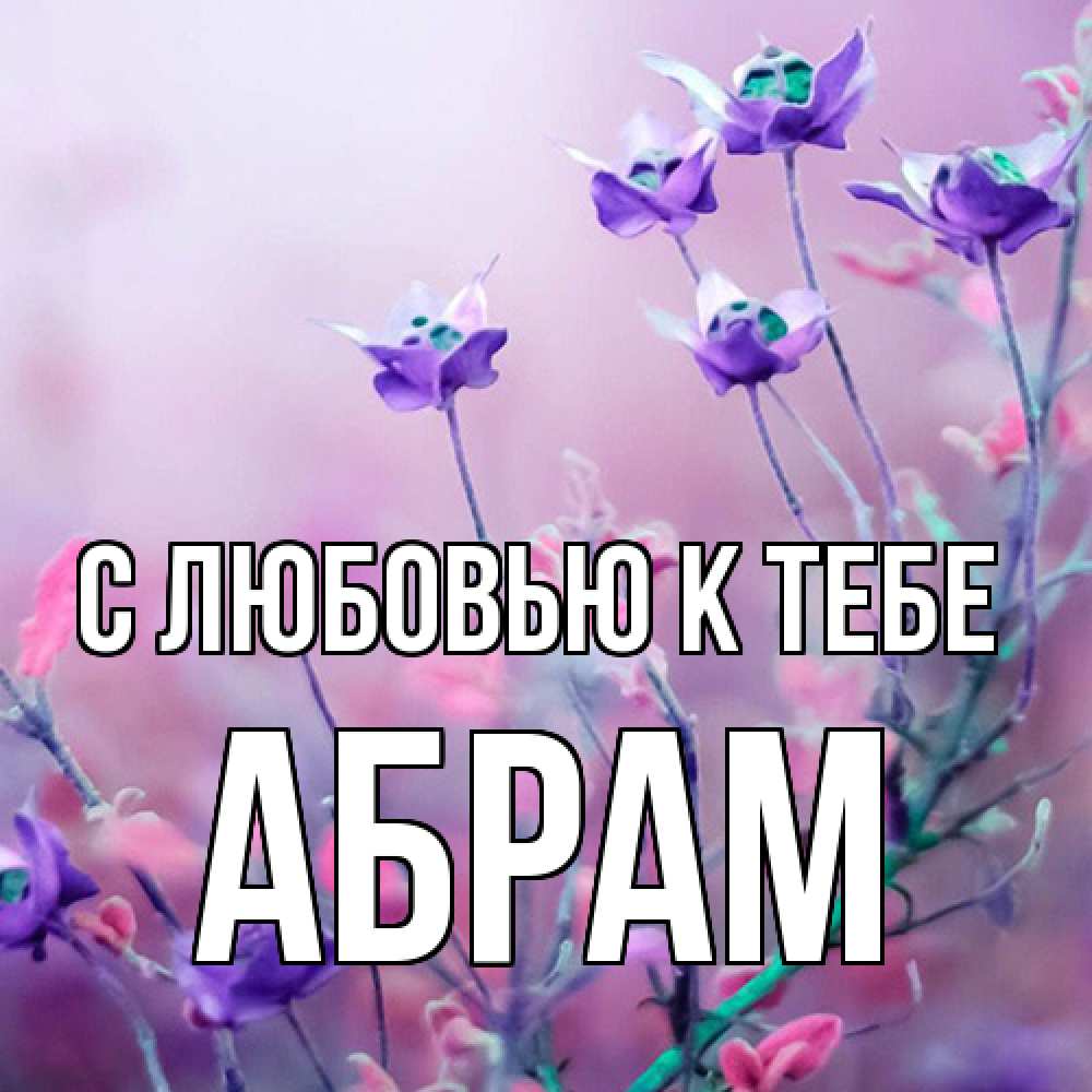 Открытка  с именем. Абрам, С любовью к тебе  