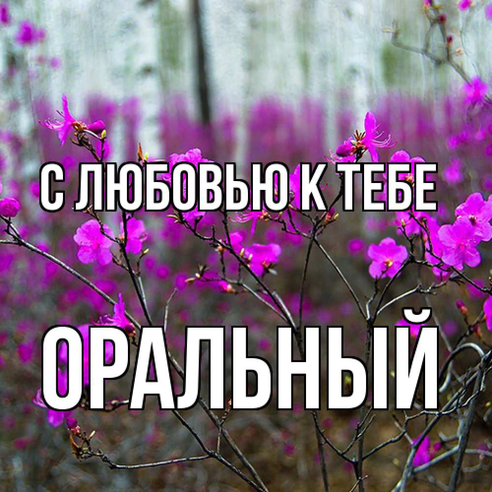 Открытка  с именем. ОРАЛЬНЫЙ, С любовью к тебе  