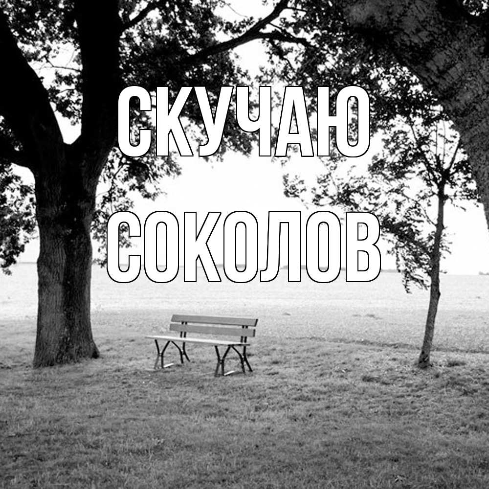 Открытка  с именем. Соколов, Скучаю  